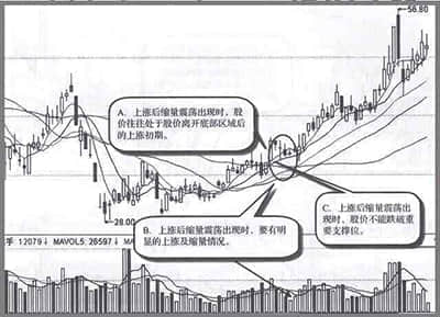 上海银行：构建科技金融生态圈 提升服务实体经济质效