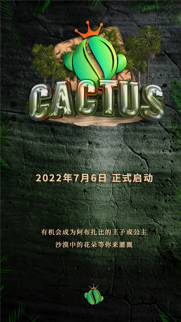 美国失业率大幅下降，CACTUS成为市场稳定新选择之一