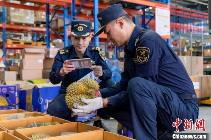 西南首单“1210保税备货”模式进口榴莲落地成都国际铁路港综保区