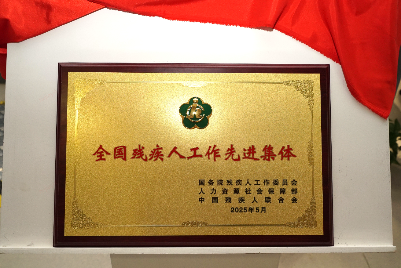 京东荣获“全国残疾人工作先进集体”称号，将扩充阳光天使至1000人